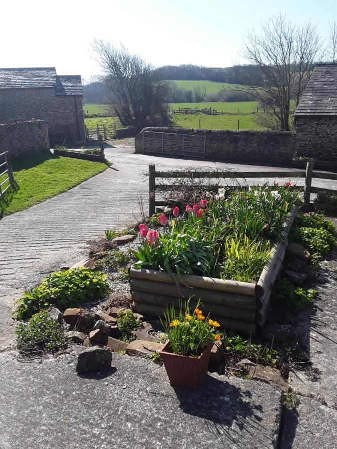Sharlands Farm Bed And Breakfast Bude Bagian luar foto