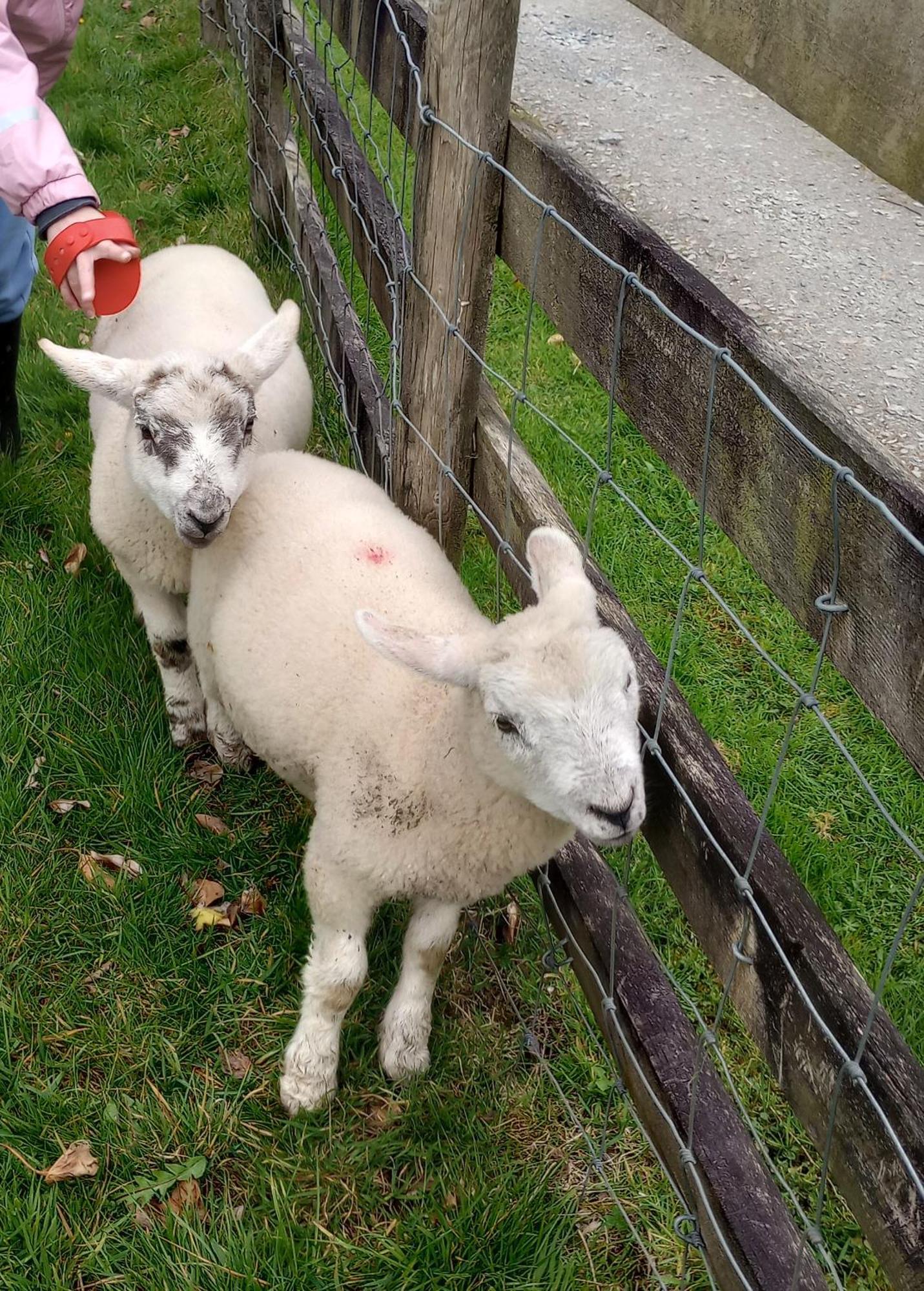Sharlands Farm Bed And Breakfast Bude Bagian luar foto